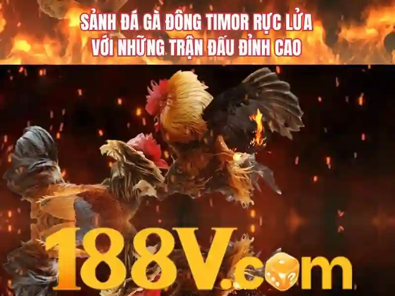 nhà cái 188v – Trải nghiệm chân thực và đánh giá toàn diện